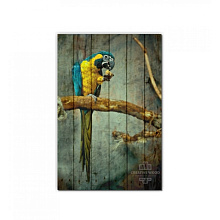 Жёлтое панно для стен Creative Wood ZOO ZOO - 6 Попугай