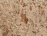 Артикул 1376-25, Палитра, Палитра в текстуре, фото 6