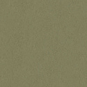 32031