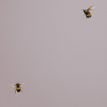 Обои с пчелами Andrea Rossi Cavolli 54419-5