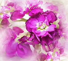 Фиолетовые обои с цветами Divino Decor Фотопанно 3-х полосные D-006