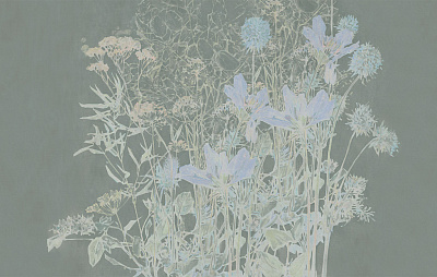 Фотообои PASCOLO 6, FLORA, Factura Фотообои PASCOLO 6, FLORA, Factura