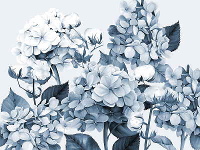 Фотообои Herbarium 6, HERBARIUM, Wall street