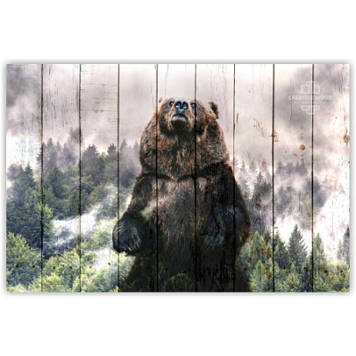 Картины ZOO - 33 Медведь, ZOO, Creative Wood