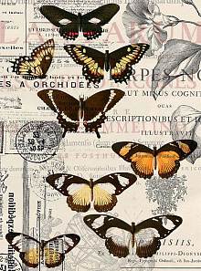 Обои с бабочками Divino Decor Фотопанно 2-х полосные E-044