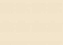 Водостойкие обои Rasch Florentine Incanto 820713