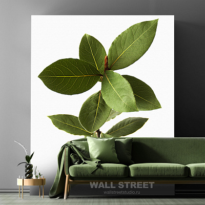 Картины NATURE-08, Волборды, Wall street Картины NATURE-08, Волборды, Wall street