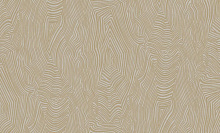 Bernardo Bartalucci Spazio 84173-5