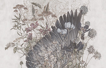Фотообои перья Factura FLOWERS VENTO DEL SUD 3
