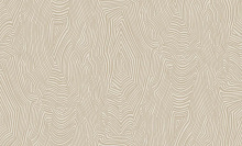 Bernardo Bartalucci Spazio 84173-3