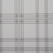 Andrea Rossi Cavolli 54417-4