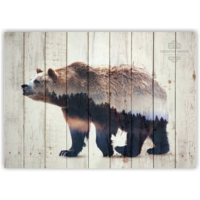 Картины ZOO - 38 Медведь двойная экспозиция, ZOO, Creative Wood