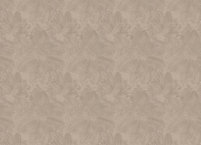 Обои 509243, Allegretto, Rasch Обои 509243, Allegretto, Rasch