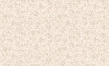 Bruno Zoff Gold 60128-4