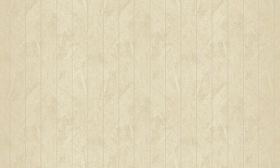 Обои 60113-3, Silver, Bruno Zoff