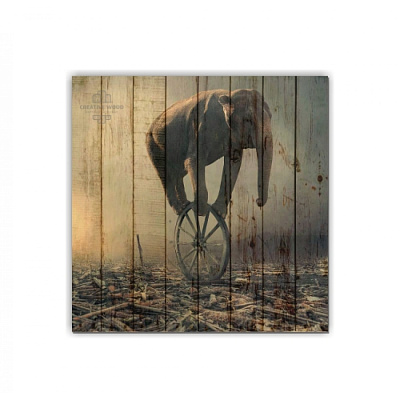 Картины ZOO - 24 Слон на колесе, ZOO, Creative Wood