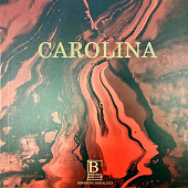 Коллекция Carolina Bernardo Bartalucci