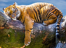 Фотообои тигр Divino Decor Фотопанно 2-х полосные L-097