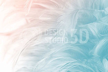 Design Studio 3D Невесомость NV-005