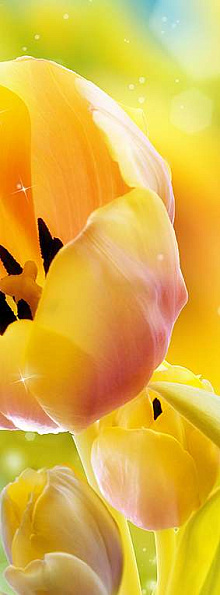 Жёлтые обои с цветами Divino Decor Фотопанно C-287