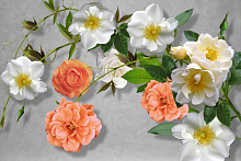 3D обои с рисунком розы Design Studio 3D Цветы FW-002